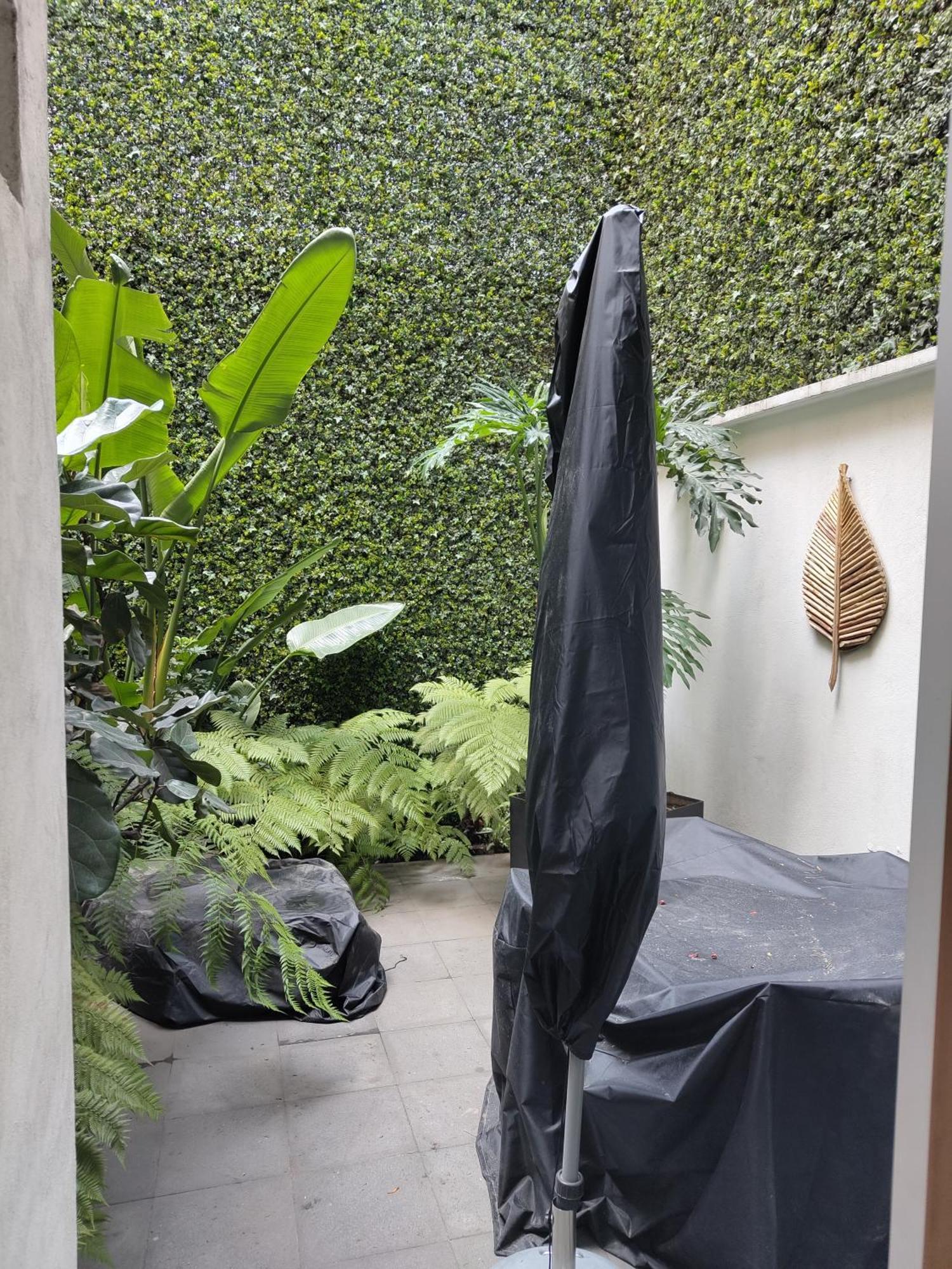 Zamora By Mr W Mexico City Room photo